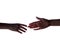 Isolated image of a silhouette of the boy`s hands reaching for the woman`s hand. Hands of mother and son. The concept of family,