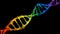 Isolated iridescent rainbow binary digital plexus dna molecule strand colorful