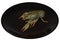 Isolated large live gray crayfish on a glossy black plate. Fresh uncooked raw crayfish ready for cooking