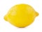 Isolated Lemon Fruit. Ripe whole yellow lemon citrus  on white background. Macro