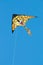 Isolated lion kite on blue sky