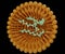 isolated Liposome with siRNA, mRNA or RNA