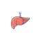 Isolated liver icon fill design