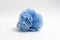 Isolated Loofah