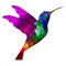 Isolated Low poly colorful Hummingbird with white back ground,animal geometric,vector
