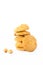 Isolated macadamia cookies in white background