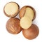Isolated Macadamia nuts. Shelled and unshelled macadamia nuts on white background. Collection. Top view. Flat lay
