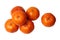 Isolated of Mandarin-Honey Murcott oranges on white background