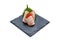 Isolated Medium Rare Salmon Sashimi Served with Ikura Salmon Roe and Sliced Radish in Stone Plate