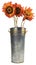 Isolated Metal Vase With Red Orange Sunflowers