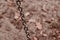 Isolated metallic chains with brown background photo