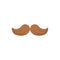 Isolated mexican mustache vector design