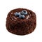Isolated mini chocolate fondant blueberry cake