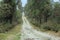 Isolated mountain road or street cropped and partial display under daylight.