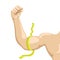Isolated muscle icon. Fitness concept