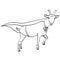 Isolated object coloring, black lines, white background. Flies Goat Animal Dressed As Superhero With clothes Vigilante