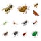 Isolated object of insect and fly sign. Set of insect and entomology vector icon for stock.