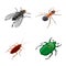 Isolated object of insect and fly symbol. Collection of insect and entomology vector icon for stock.