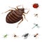 Isolated object of insect and fly symbol. Set of insect and entomology vector icon for stock.