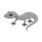 Isolated object of lizard and gray icon. Set of lizard and dragon vector icon for stock.