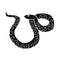Isolated object of serpent and viper icon. Web element of serpent and rattlesnake stock symbol for web.