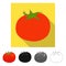Isolated object of tomato and red logo. Set of tomato and vegan vector icon for stock.