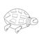 Isolated object of turtle and robotic icon. Collection of turtle and shell vector icon for stock.