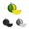Isolated object of watermelon and yellow symbol. Collection of watermelon and fresh vector icon for stock.