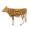 Isolated object on white background. The cow for the restaurant is divided into parts, pieces of bull beef carcass