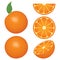 Isolated orange fruits and slices
