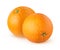 Isolated oranges. two citrus fruits