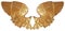 Isolated pair of aureate angel wings