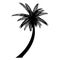 Isolated palm. Silhouette