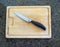 Isolated paring knife on a large wooden cutting board with a granite kitchen counter