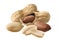 Isolated peanut group. Shelled and unshelled raw nuts on white background