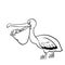 Isolated Pelican Cartoon-Vector Hand drawn Illustration