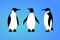 Isolated penguin on blue background. Set of sea animal, bird. Group of colorful penguin flat design