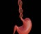 isolated peristalsis movement to stomach in the black background