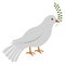 Isolated pigeon icon