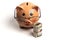 Isolated Piggy Bank With Glasses