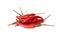 Isolated pile of Hanoi Red Peppers Vietnamese Chili on white