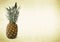 Isolated pineapple fruit