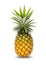 Isolated pineapple on white background