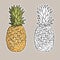 Isolated pineapples. Graphic stylized drawing.