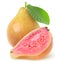 Isolated pink guava fruit