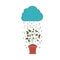 Isolated plant rain and cloud design