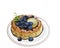 Isolated plate of blueberry Japanese chiffon cake on white background.