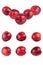 Isolated plums. Collection of whole red plum fruits isolated on