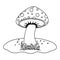 Isolated pointed fungi mushroom design vector illustration