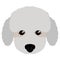 Isolated poodle avatar